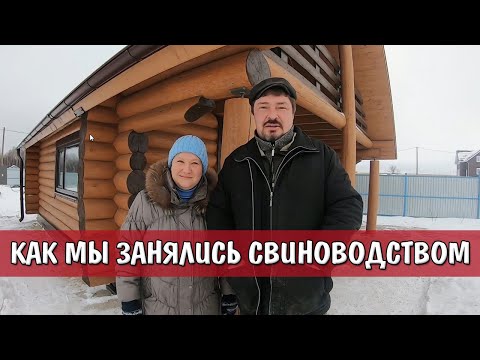 Видео: ДОМАШНЕЕ СОДЕРЖАНИЕ СВИНЕЙ или КАК МЫ ЗАНЯЛИСЬ СВИНОВОДСТВОМ