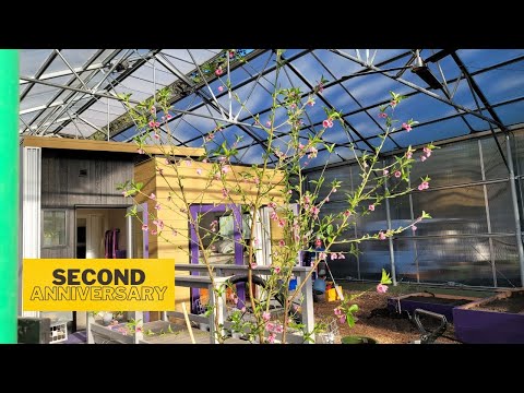 Видео: E96 Миниатюрный дом в теплице | 2 года жизни в теплице