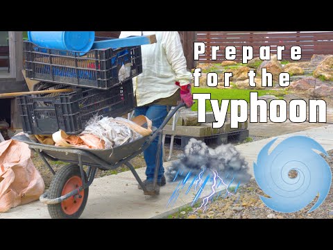 Видео: Давайте очистим наш сад от тайфуна