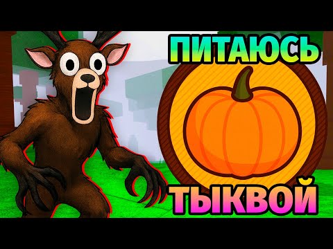 Видео: 😱99 НОЧЕЙ в ЛЕСУ ПИТАЮСЬ ТОЛЬКО ТЫКВОЙ 99 Nights in the Forest в Роблокс
