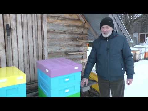 Видео: февраль. ЧТО НАДО УСПЕТЬ СДЕЛАТЬ к пчеловодному сезону