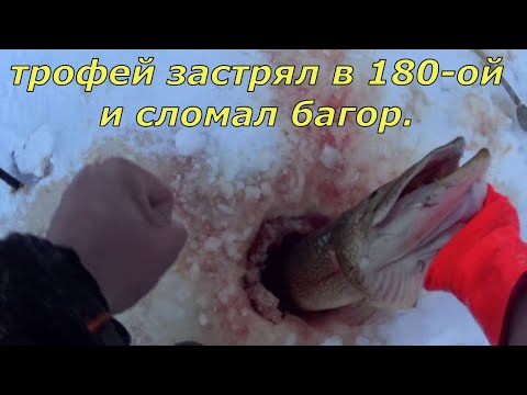 Видео: Она сломала багор и застряла в 180-ой лунке. Обновил рекорд. Гора Окуней. Это лучшая рыбалка .