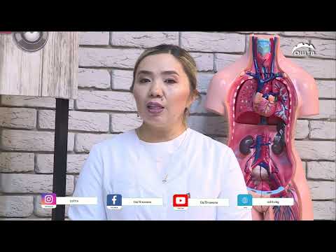 Видео: Пульс 25.09.2025