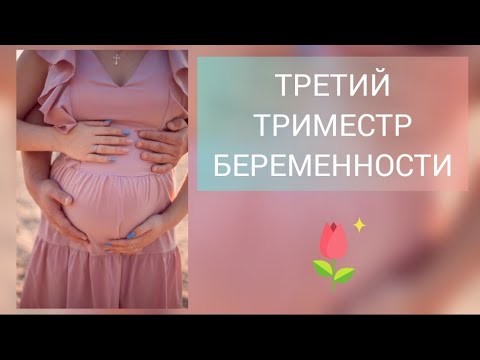 Видео: ТРЕТИЙ ТРИМЕСТР БЕРЕМЕННОСТИ| Моя история| Что ВАЖНО Знать о ТРЕТЬЕМ ТРИМЕСТРЕ