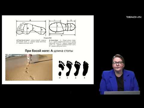 Видео: Крюкова Е.С. - Криминалистика - 4. Следы ног