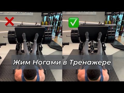 Видео: Жим Ногами в Тренажере