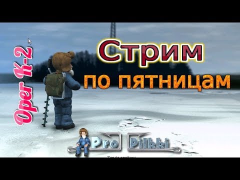 Видео: Зимняя рыбалка ProPilkki2 -  Siika-valkeinen, Koivusaaren matalikko