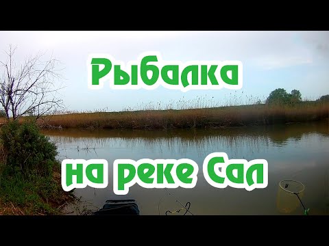 Видео: Рыбалка на фидер / Река Сал / Ловля Карася / Ловя голавля / Разнорыбица / Фидер / Карась Лещ /