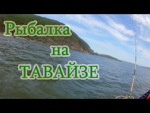 Видео: Ловили скумбрию а поймали краснопёрку,Тавайза Уссурийский залив.