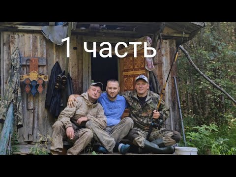 Видео: Рыбалка на лесной речке,Архангельская область,отправились в лес на дрезине по узкоколейке.Лойга