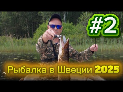 Видео: #2 рыбалка в Швеции июнь 2025 г. ￼