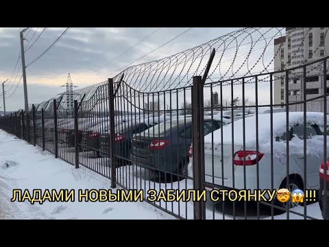Видео: НОВЫМИ ЛАДАМИ ЗАБИЛИ СТОЯНКИ 😱❗ФЕВРАЛЬ 2025 ❗