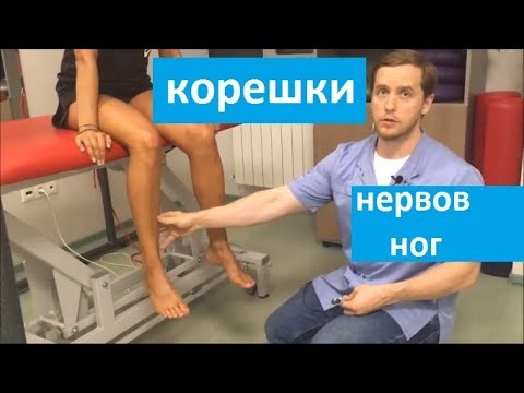 Видео: Знать о поясничных корешках