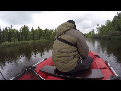 Видео: Ну вот и первые злые осенние щуки пойманы.