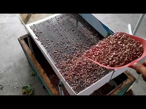 Видео: Станок для калибровки воздушной бульбочки чеснока.
