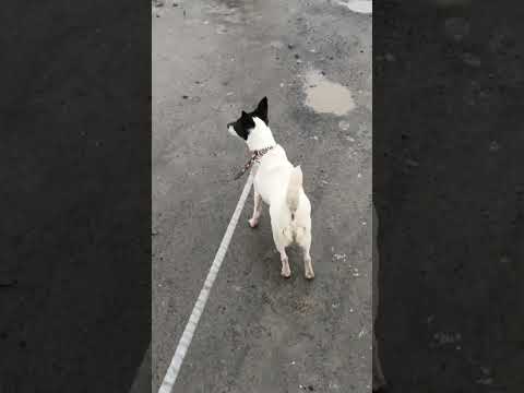 Видео: Доброе утро ☀️ 