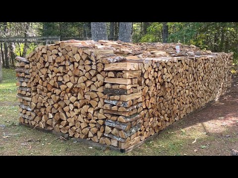 Видео: Что нужно для открытия бизнеса по заготовке дров?