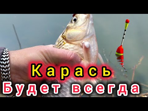 Видео: ДЕЛИКАТЕС  для КАРАСЯ,КАРПА И ПЛОТВЫ! Дедовская НАСАДКА!