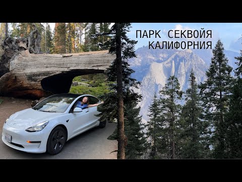 Видео: Секвойя парк | Калифорния на тесле