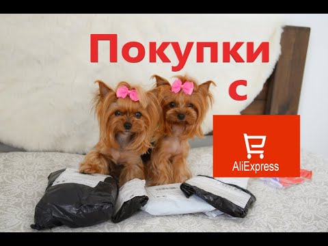 Видео: Покупки с AliExpress для собак