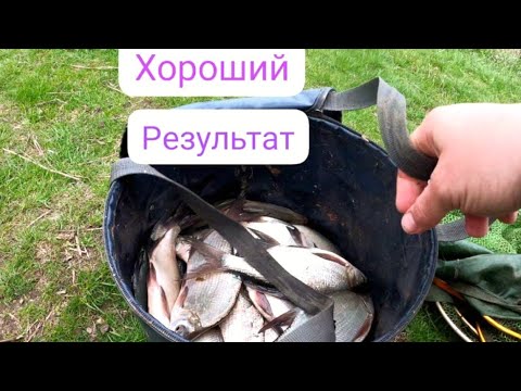 Видео: Весна 2025 в марте, ловля на фидер оторвался на славу!!!