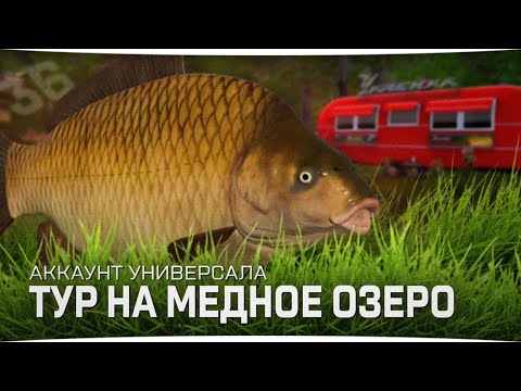 Видео: Фарм серебра на Медном озере без СПОДА и ПВА • Универсал #36