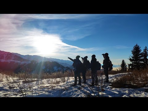 Видео: Плато Ак Тас, Лесная сказка
