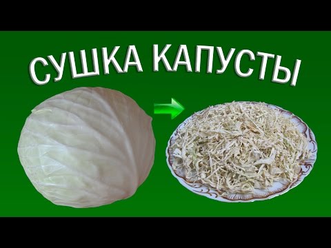 Видео: Сушка белокочанной капусты | Сушеные овощи | Еда в поход
