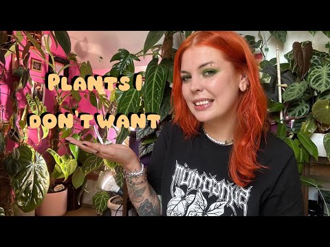 Видео: Антиперевозка комнатных растений 2.0🌿