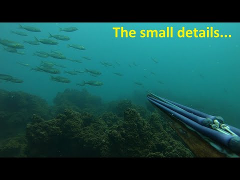 Видео: Малките детайли в подводния риболов...