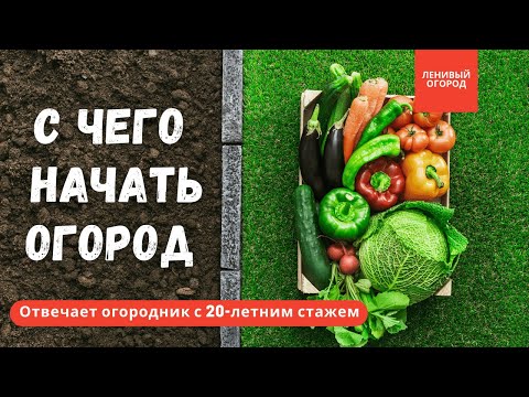 Видео: Огород для начинающих с чего начать | Вопросы опытному огороднику от новичков | Ленивый Огород