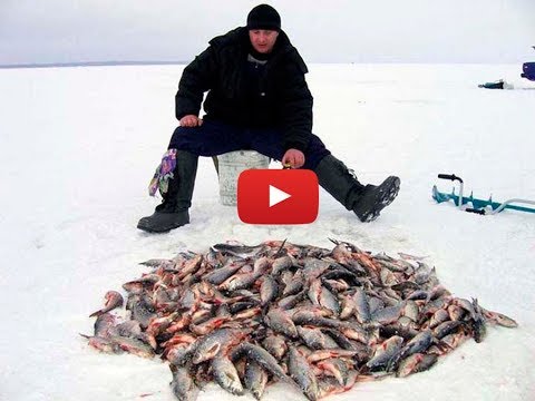 Видео: Шикарная рыбалка на Байкале с детьми  Смотреть всем про рыбалку!