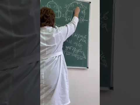 Видео: 17 ноября 2023 г.