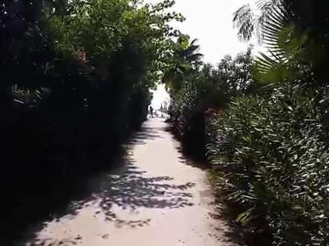 Видео: Sinatra Hotel 4* дорога на пляж, море. Чамьюва, Турция (Camyuva, Turkey)