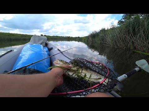 Видео: Одиночный сплав по реке | Рыбалка с ночевкой ч.1