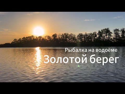 Видео: Рыбалка на водоёме "Золотой Берег"