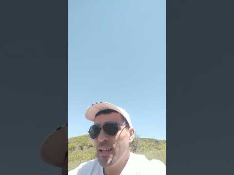 Видео: Не потеряй первородство,ради временного!