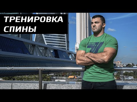 Видео: Тренировка Спины | Дмитрий Берестов