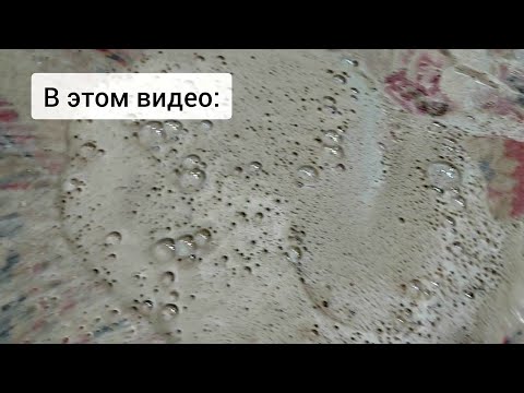 Видео: Больше часа спасали грязный ковёр: чёрная пена и мощный результат / Black foam and powerfull result