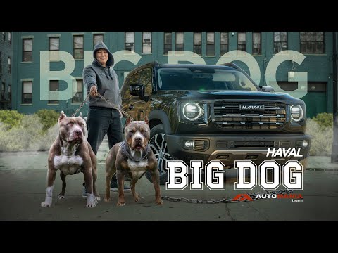 Видео: ОБЗОР HAVAL DARGO (BIG DOG) 2021г. SIDE SHEPHERD EDITION / КИТАЙСКИЙ ГЕЛИК!!