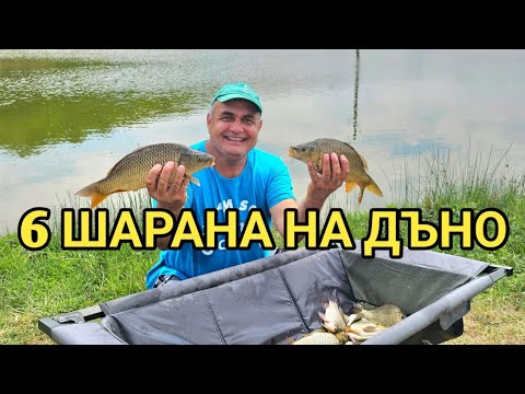 Видео: Разбих шараните на язовир Геранея! Кеф и адреналин!