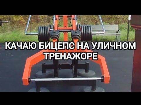 Видео: БИЦУНЯ САМА СЕБЯ НЕ ВЫРАСТИТ 