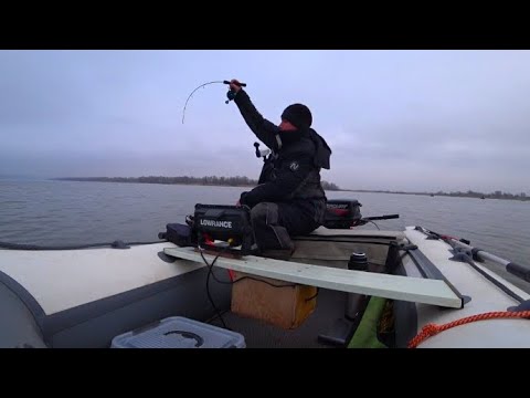 Видео: ЭТУ РЫБАЛКУ НЕ ЗАБЫТЬ!!! БЬЮТ КАК ТОКОМ 💥ЗИМНЯЯ РЫБАЛКА