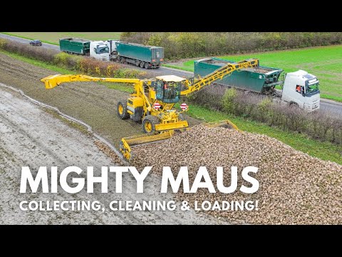Видео: МОГУЧИЙ МАУС! | Сбор, очистка и загрузка — всё в одном!