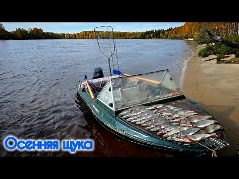 Видео: РЕКА КИПИТ ЩУКА КЛЮЁТ