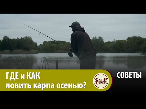 Видео: ⚡️ ВАЖНО карпятникам! Как ИСКАТЬ карпа осенью? Какую ТАКТИКУ выбирать? Карпфишинг ОСЕНЬЮ! СОВЕТЫ