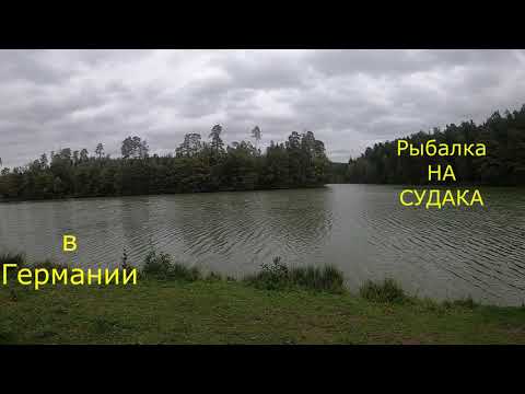 Видео: Рыбалка на Судака в Германии