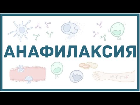 Видео: Анафилактическая реакция - механизм, эффекты, первая помощь