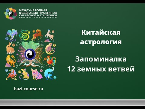 Видео: Земные ветви в китайской астрологии