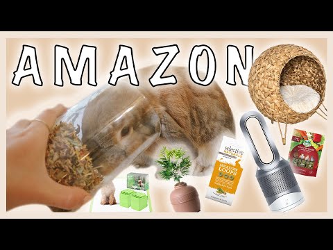 Видео: Любимые кролики Amazon